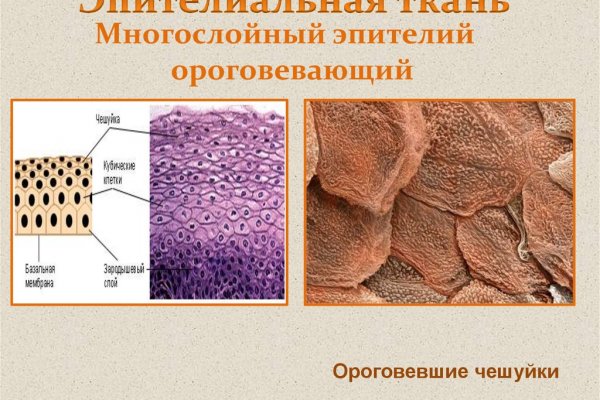 Кракен запрещенные вещества